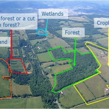 LULUCF – Land Use, Land-Use Change and Forestry