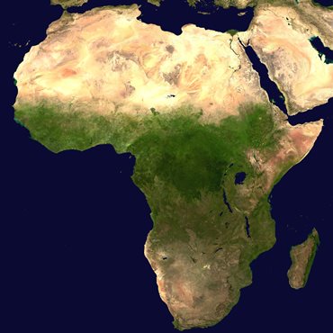 OFAC – Observatory of Central African Forests