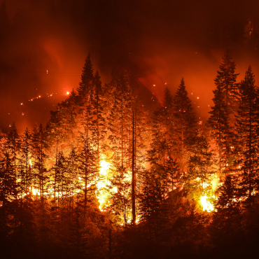 EFFIS – European Forest Fire Information System