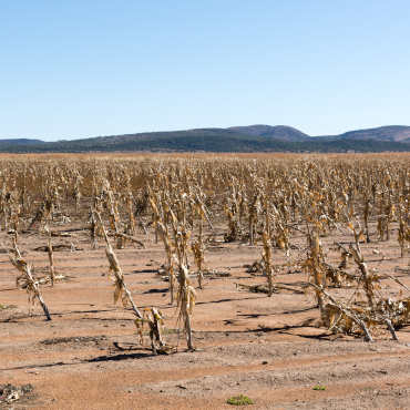 EDO – European Drought Observatory